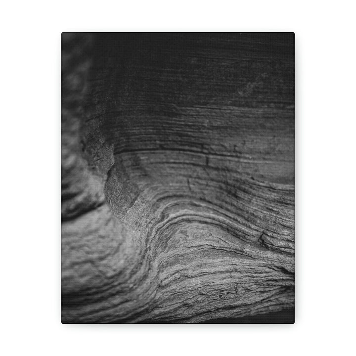 Sedimentary Rock Curves in Black and White - Canvas