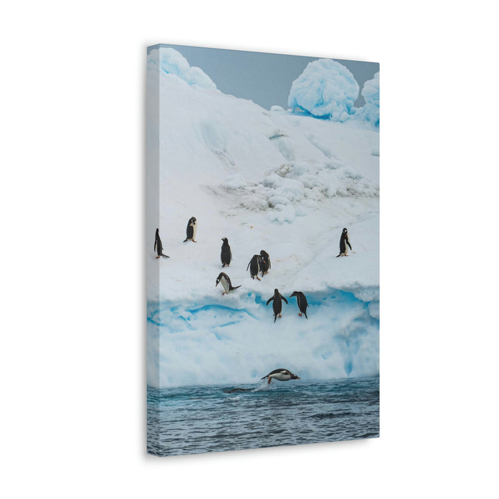 Porpoising Penguin - Canvas