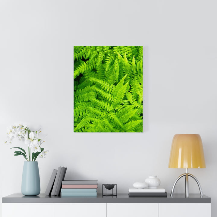 Ferns, Ferns, Ferns - Canvas