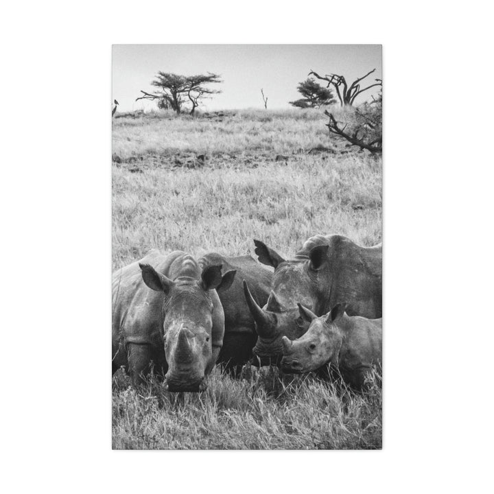 Rhino Family in Black and White - Canvas