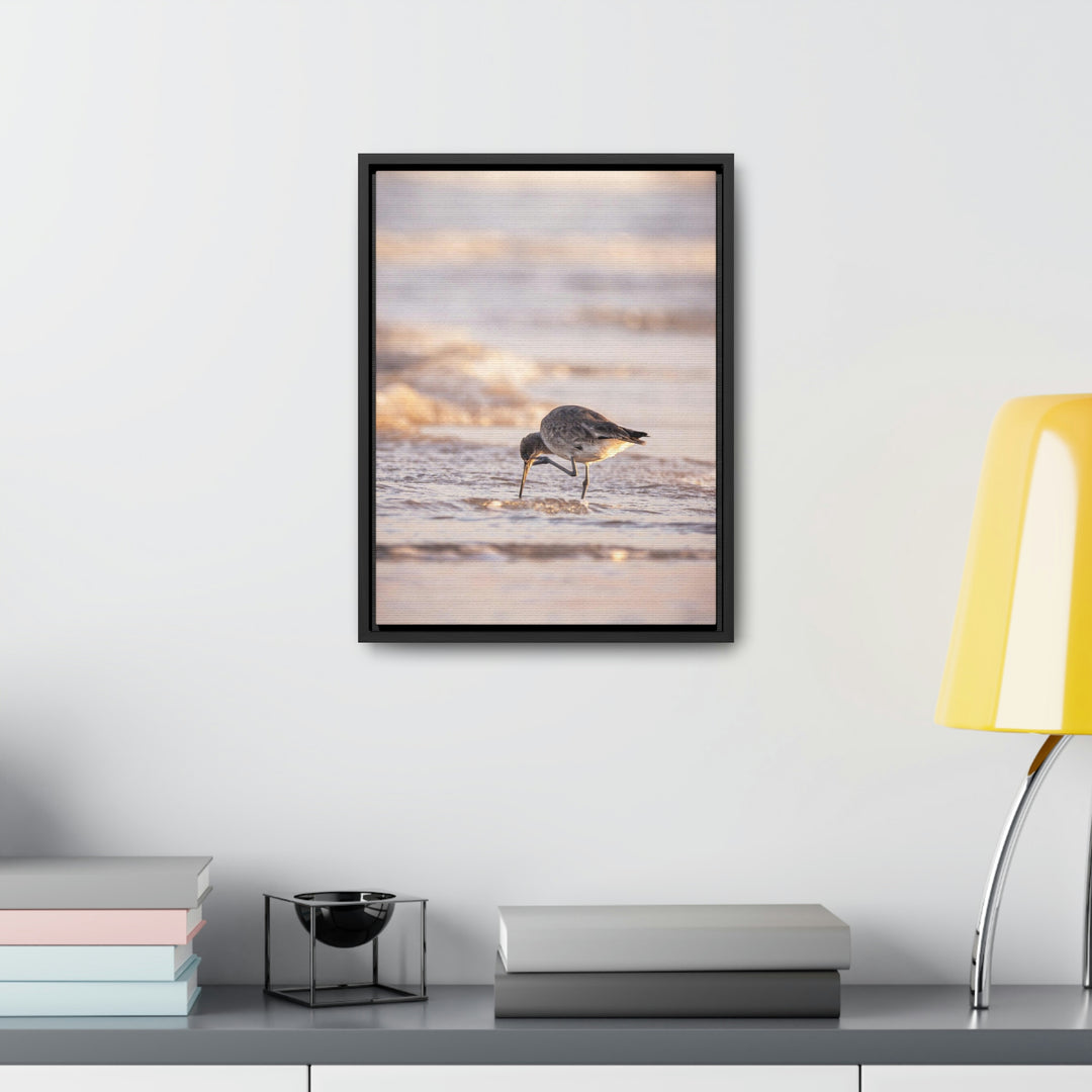 Willet Itch - Canvas with Frame