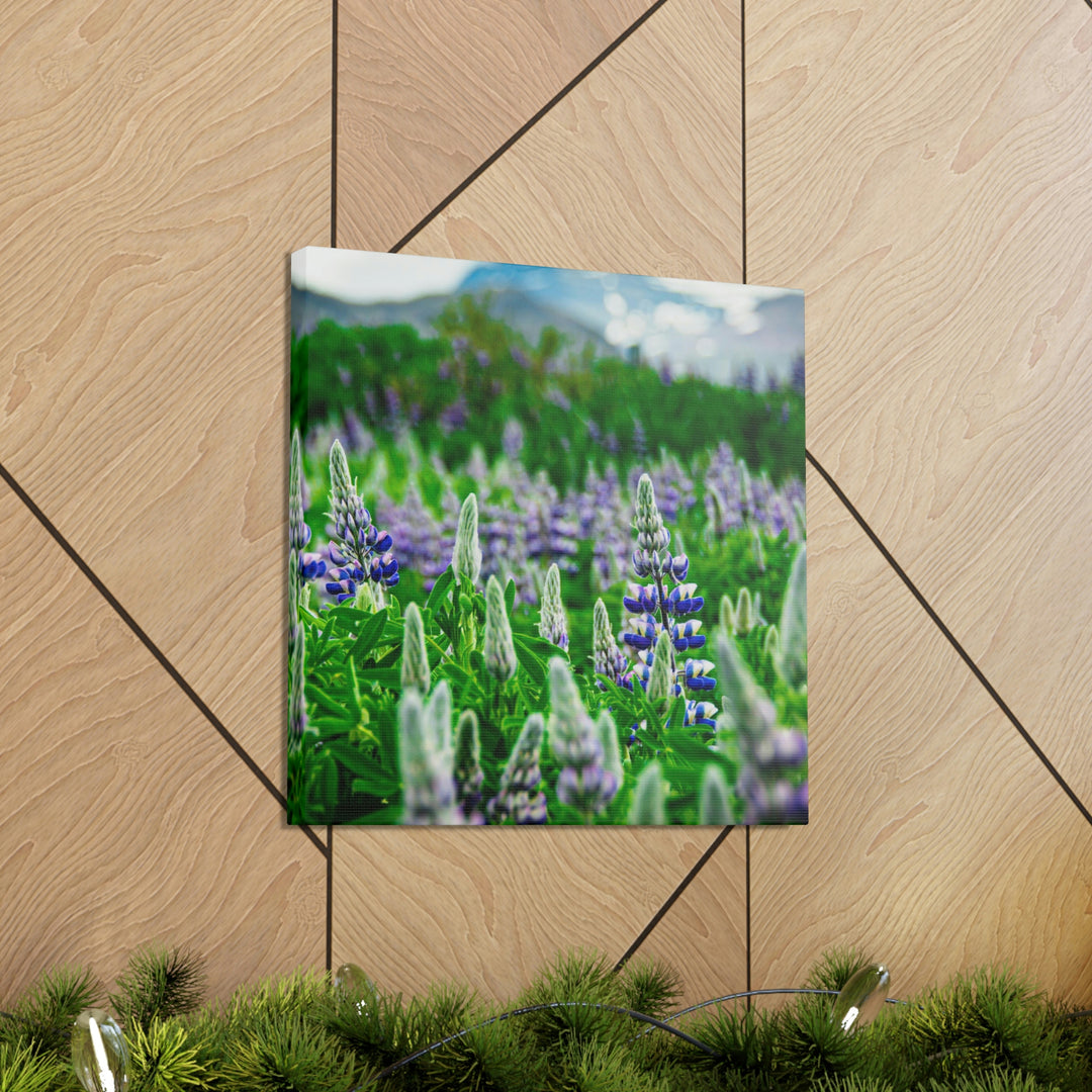 Glowing Lupin with Mountains - Canvas