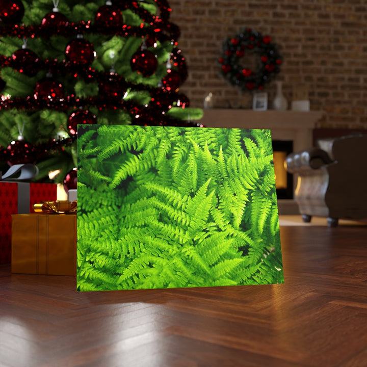 Ferns, Ferns, Ferns - Canvas