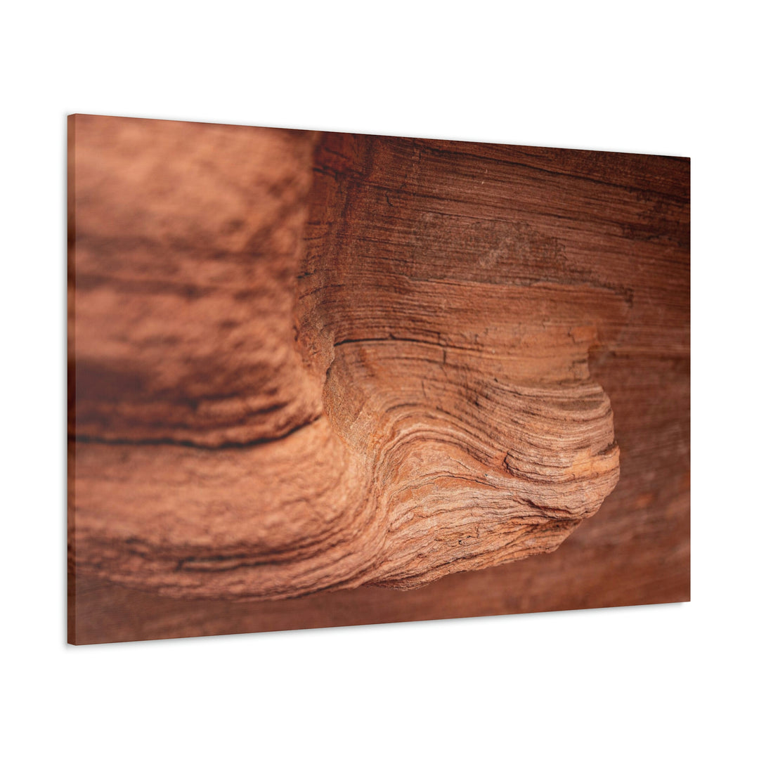 Sedimentary Rock Curves - Canvas