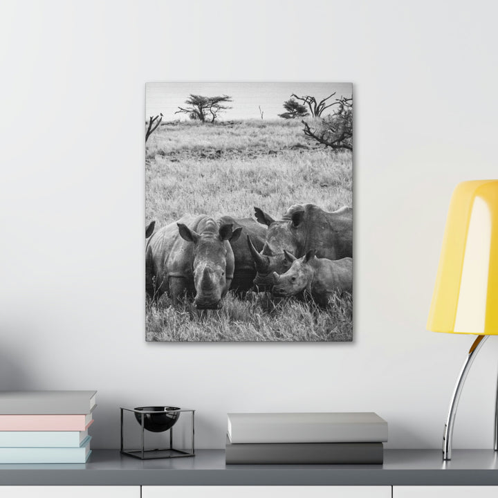 Rhino Family in Black and White - Canvas