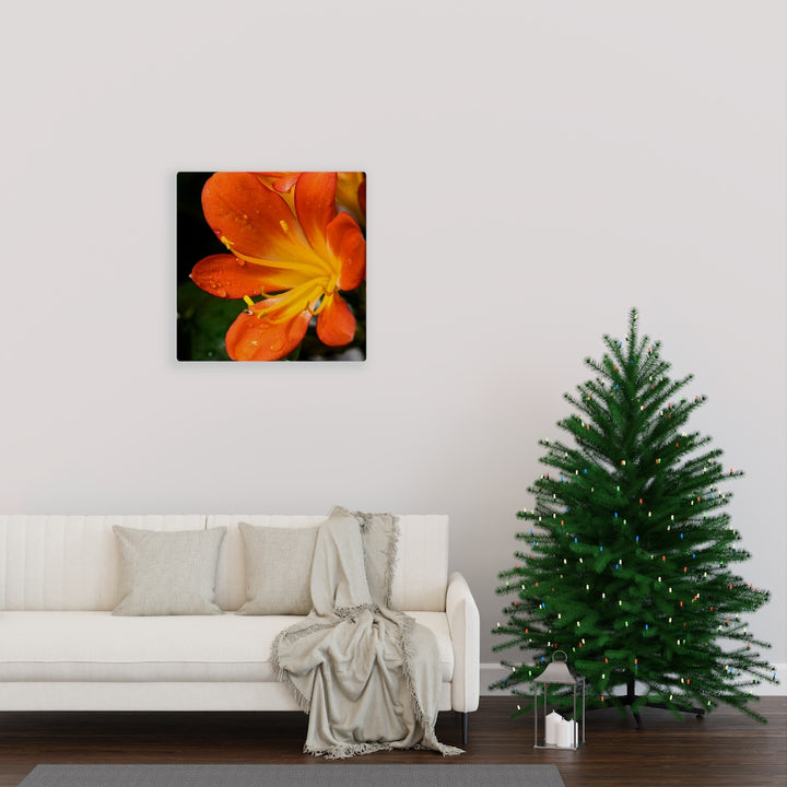 Bright Bush Lily - Canvas