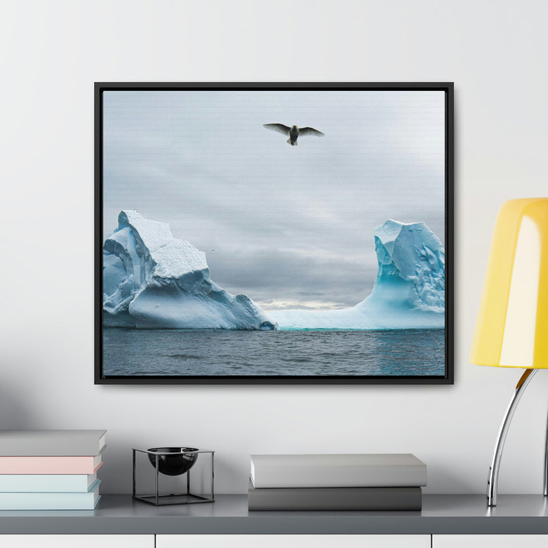 Antarctic Flight - Canvas with Frame