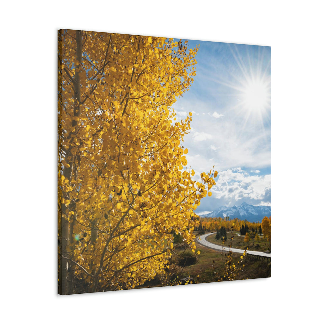 Golden Sunshine - Canvas