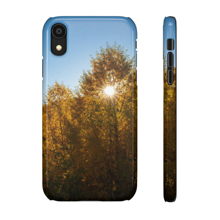 Sun Through the Aspens - Phone Case