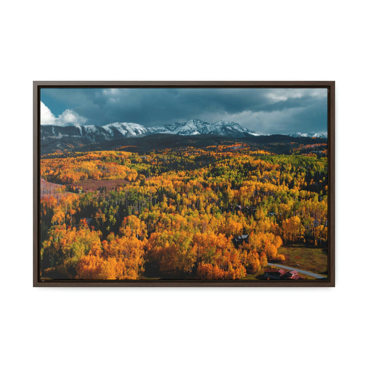 Golds of Autumn - Canvas with Frame