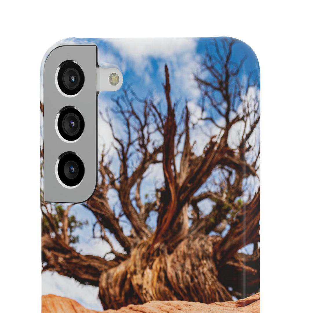 Desert Reach - Phone Case