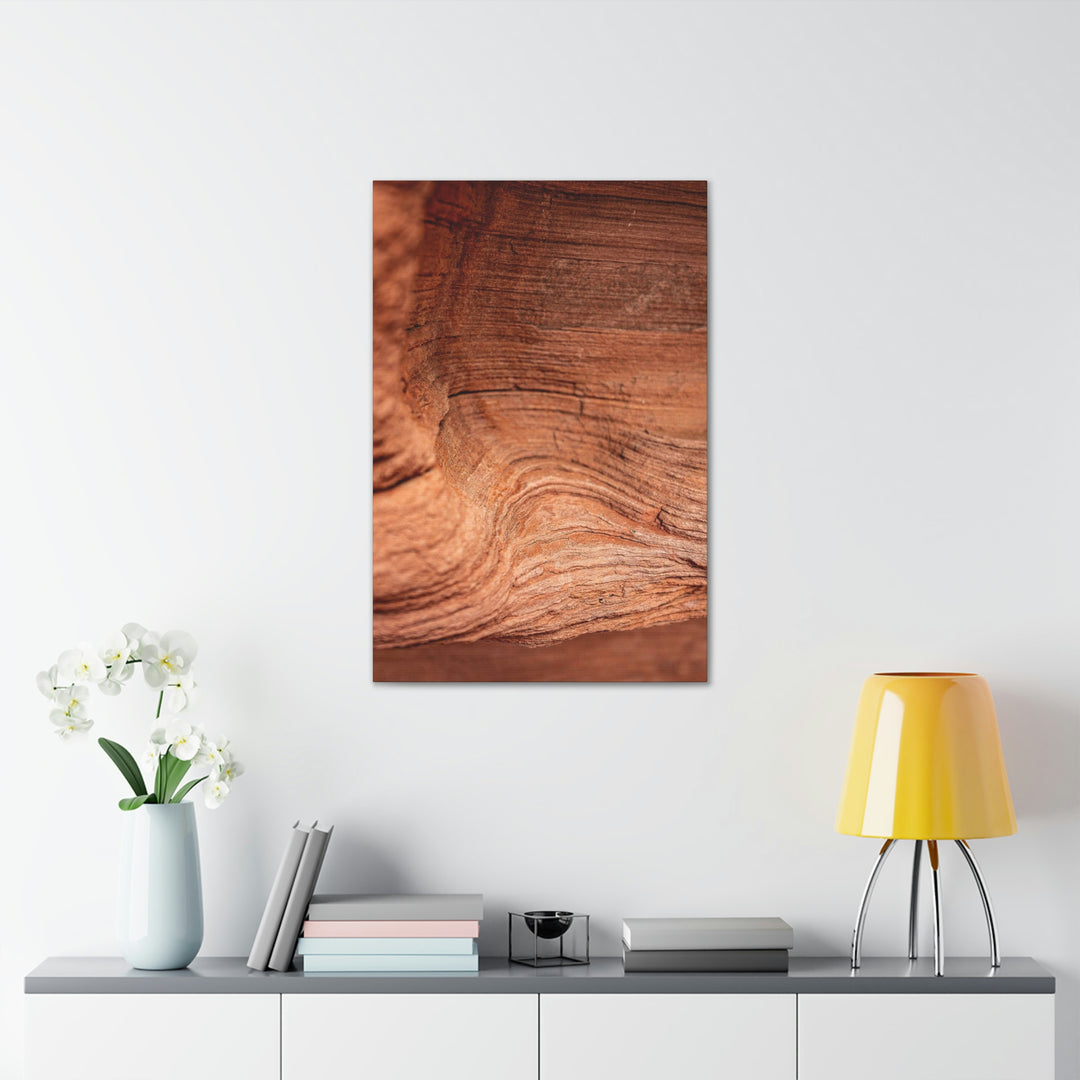 Sedimentary Rock Curves - Canvas