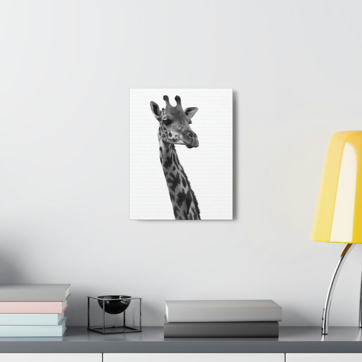 Giraffe Portrait in Black and White  - Canvas