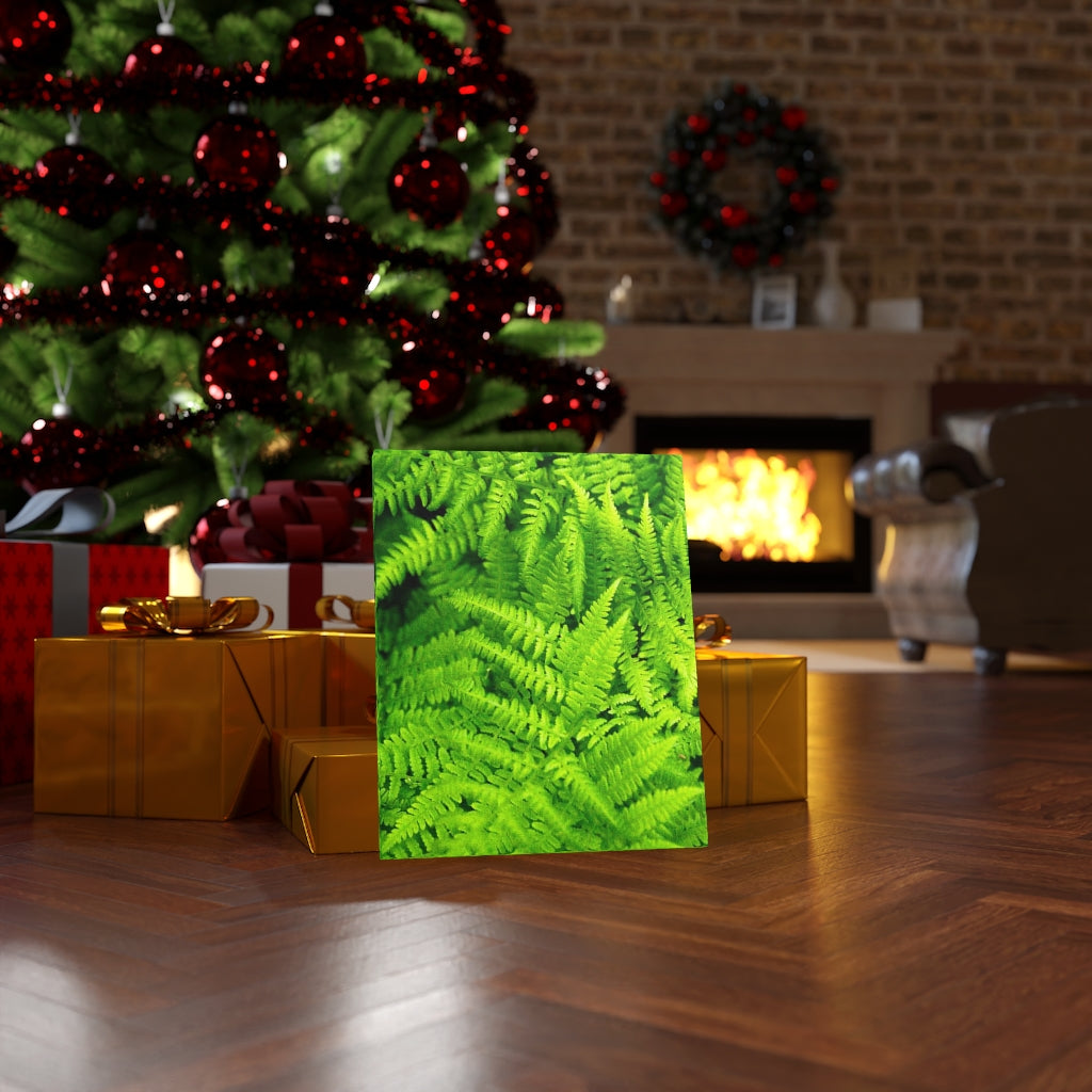 Ferns, Ferns, Ferns - Canvas