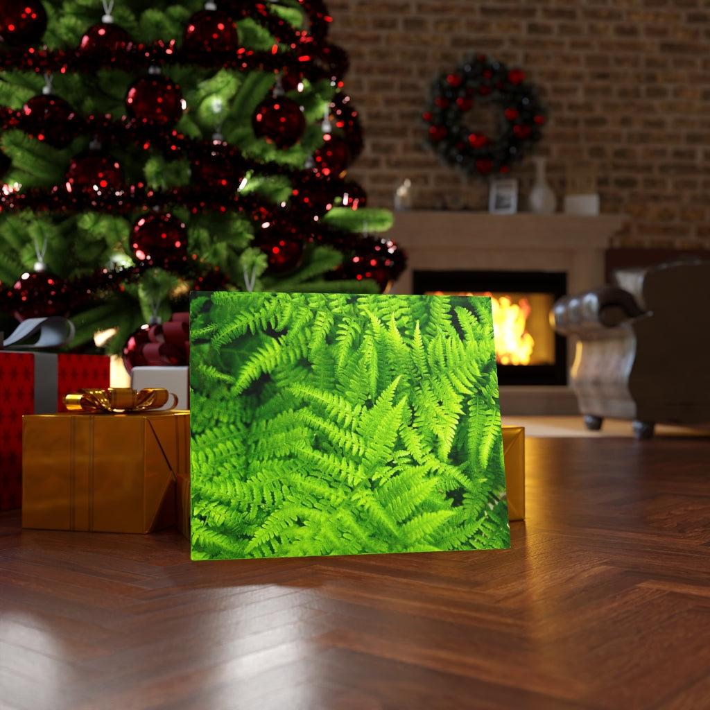 Ferns, Ferns, Ferns - Canvas