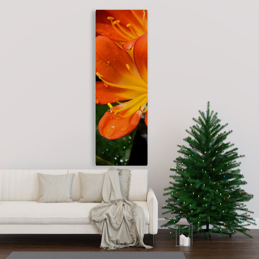 Bright Bush Lily - Canvas