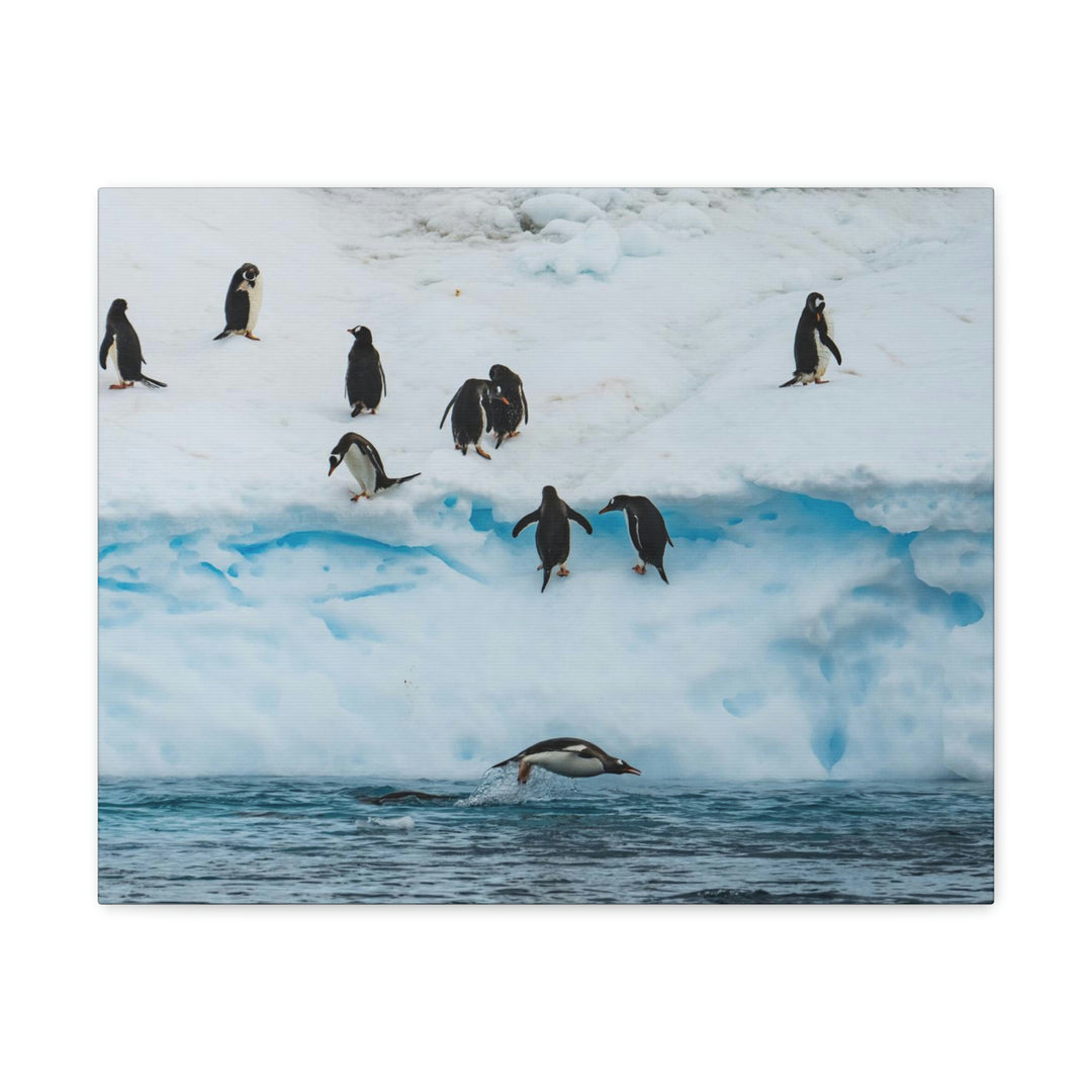 Porpoising Penguin - Canvas