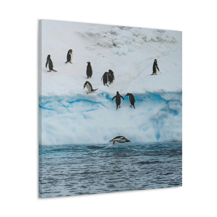 Porpoising Penguin - Canvas