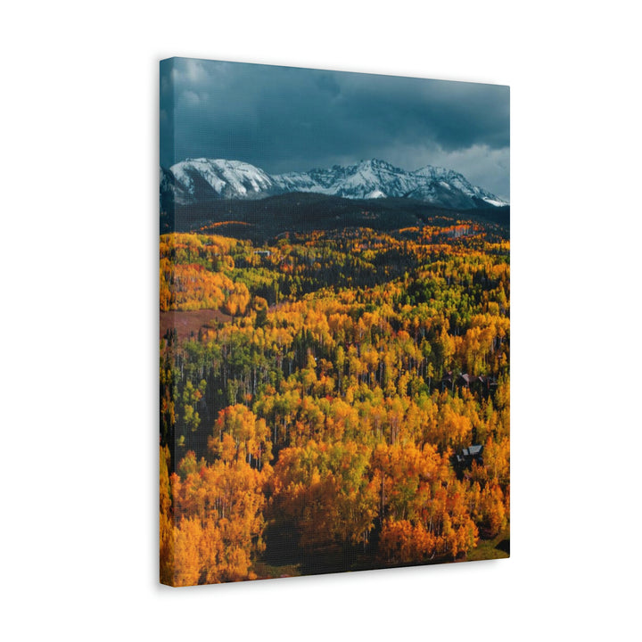 Golds of Autumn - Canvas