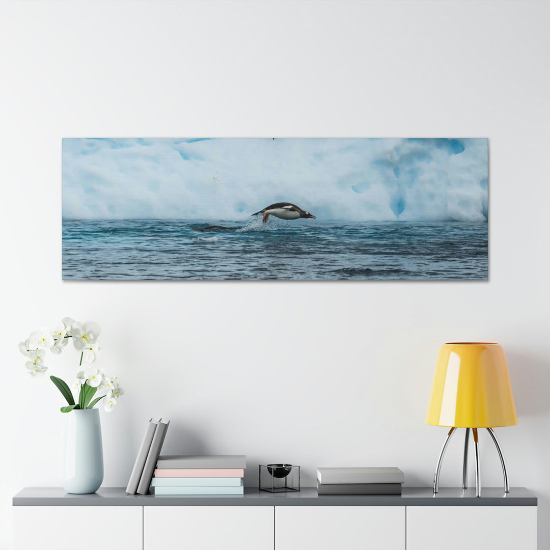 Porpoising Penguin - Canvas