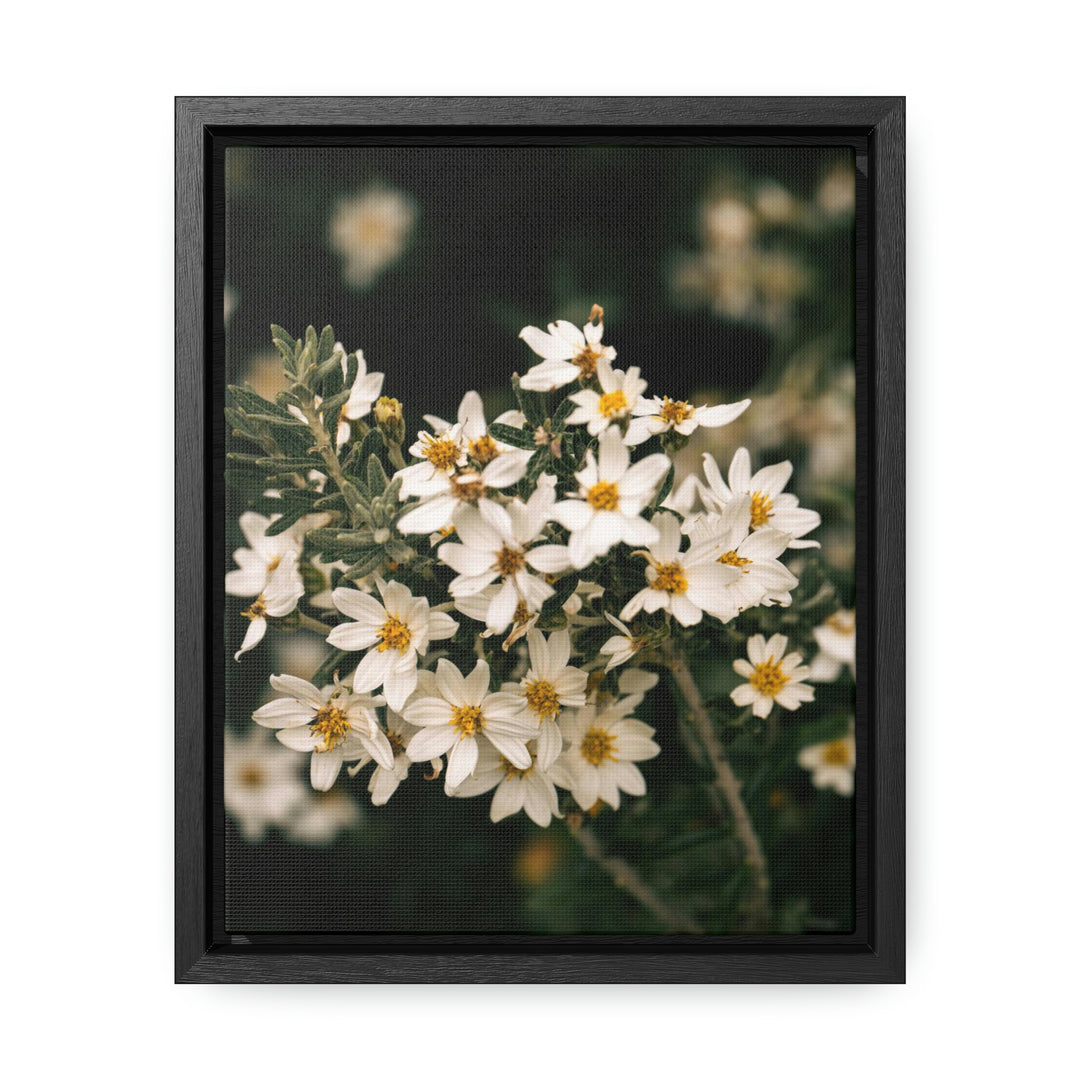 A Touch of White - Canvas with Frame