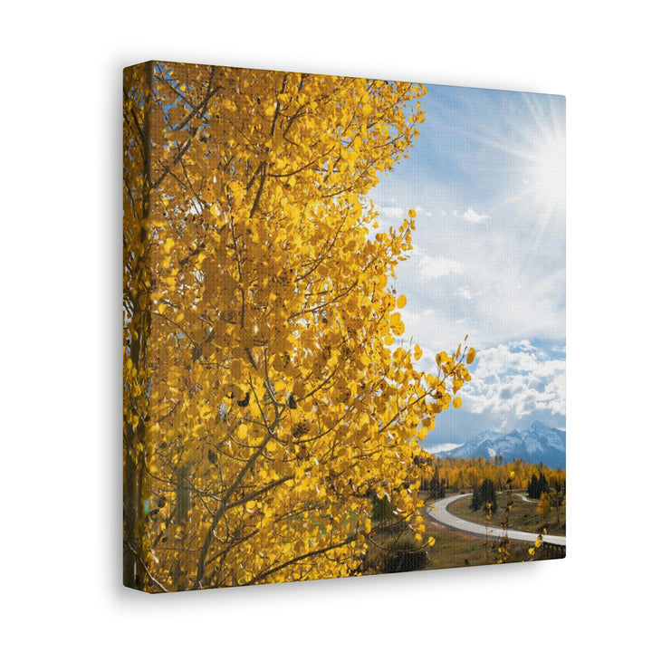 Golden Sunshine - Canvas