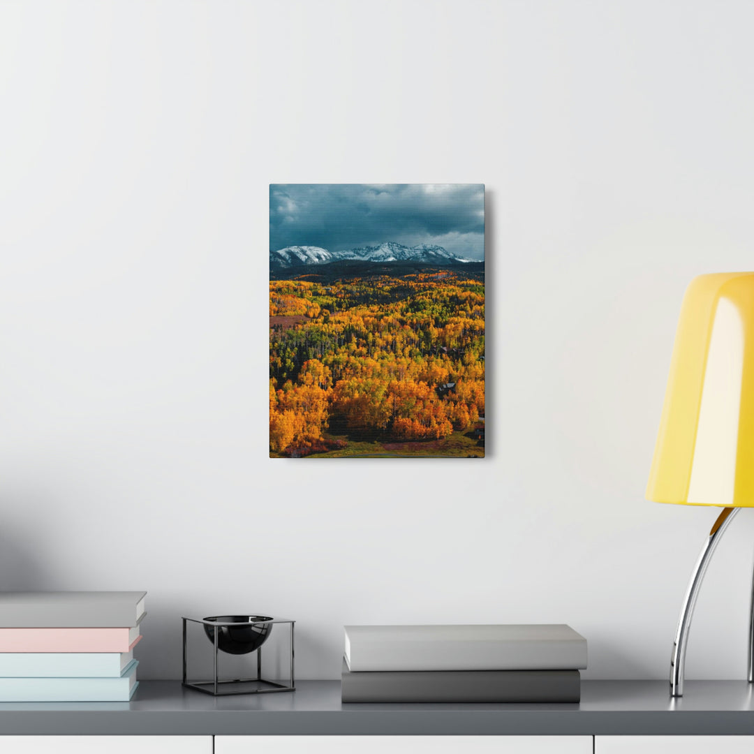 Golds of Autumn - Canvas