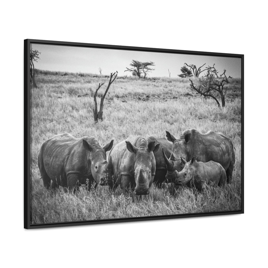 Rhino Family in Black and White - Canvas with Frame