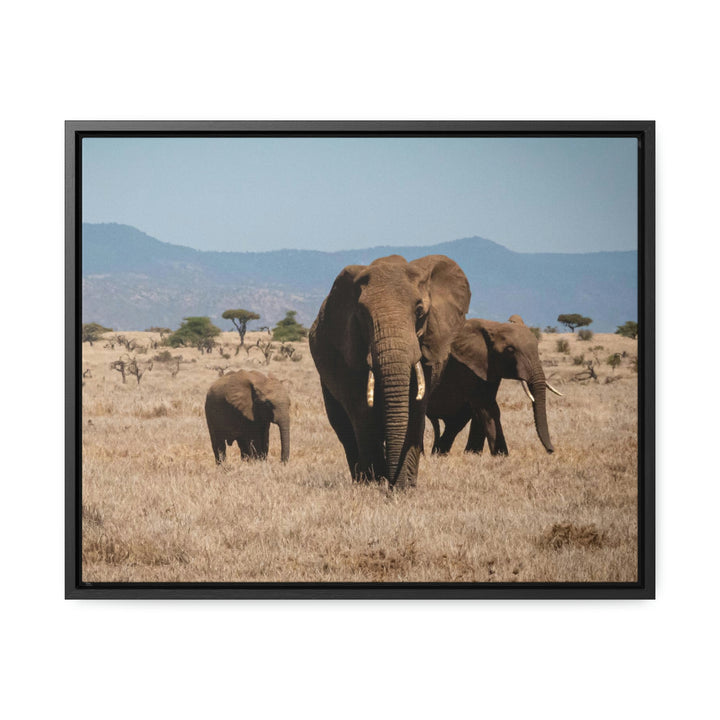 Family March - Canvas With Frame