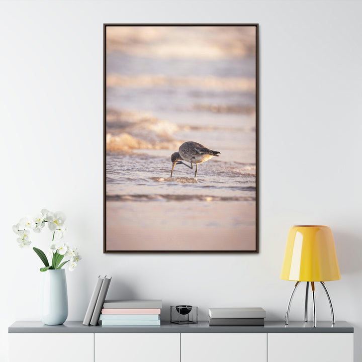 Willet Itch - Canvas with Frame