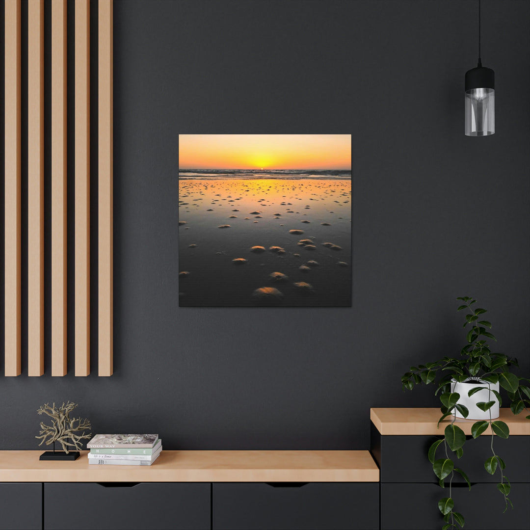 Burrows at Sunrise - Canvas