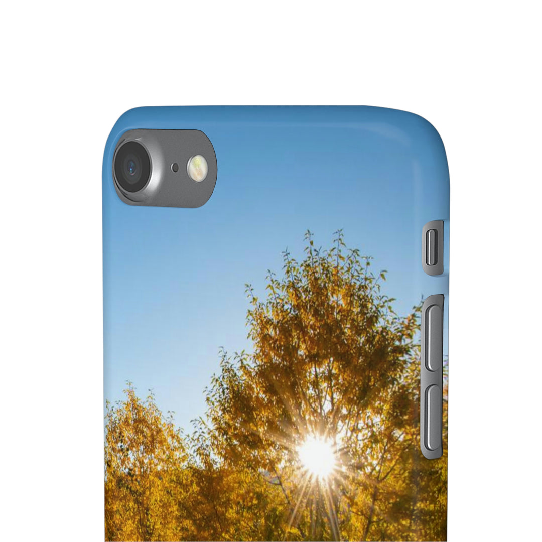 Sun Through the Aspens - Phone Case