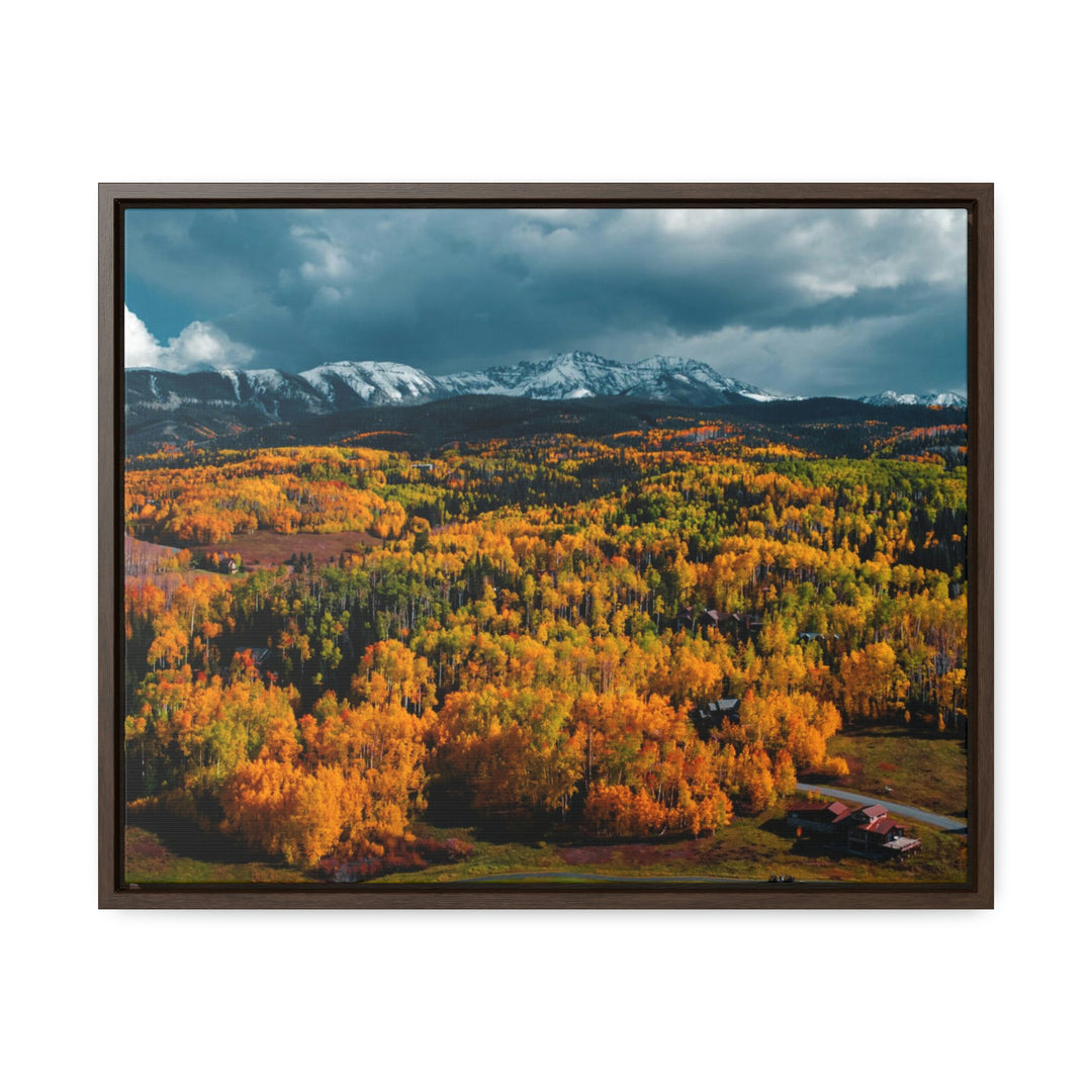 Golds of Autumn - Canvas with Frame