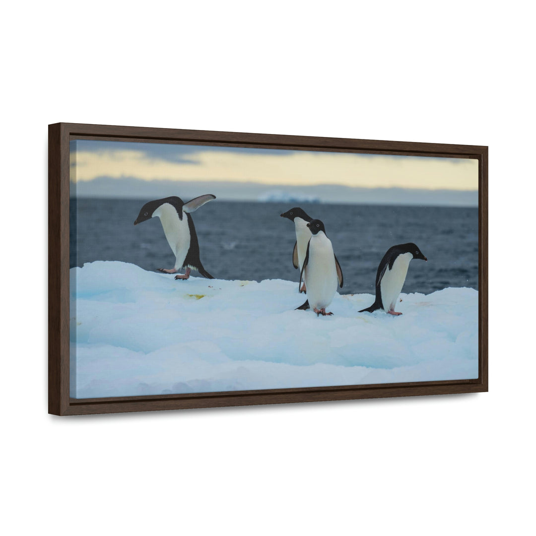 Penguin Dance - Canvas with Frame