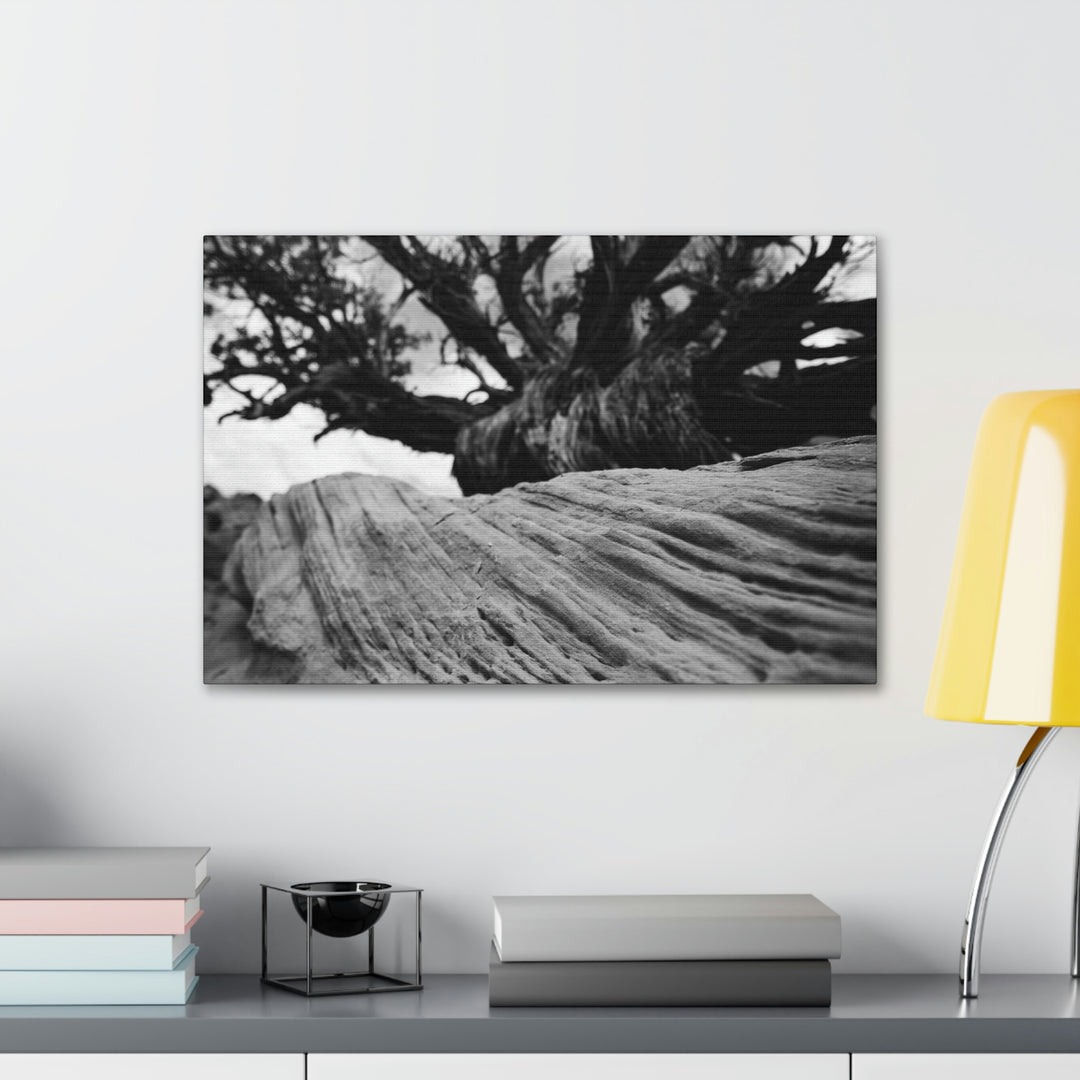 Desert Reach in Black and White - Canvas