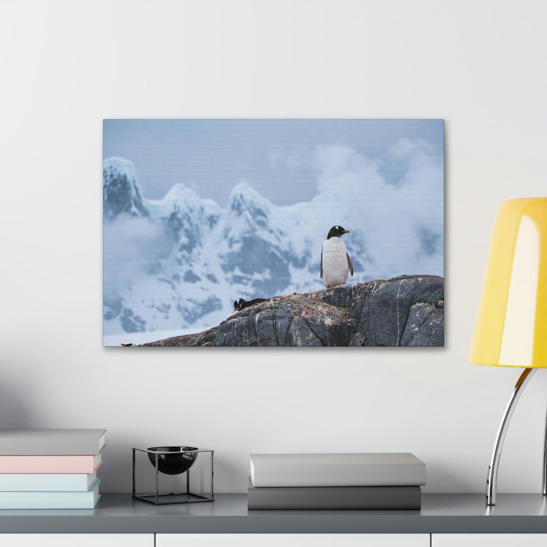 Poised Penguin - Canvas