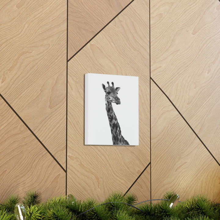 Giraffe Portrait in Black and White  - Canvas