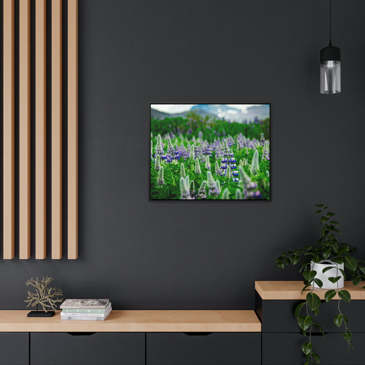 Glowing Lupin with Mountains - Canvas with Frame