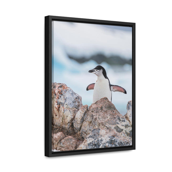 Stretched Penguin - Canvas with Frame