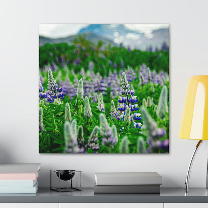 Glowing Lupin with Mountains - Canvas