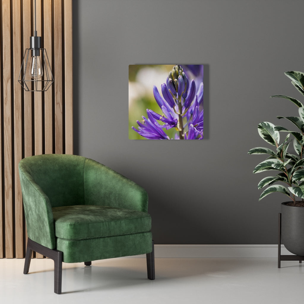 Camas in Bloom - Canvas