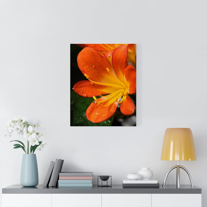 Bright Bush Lily - Canvas