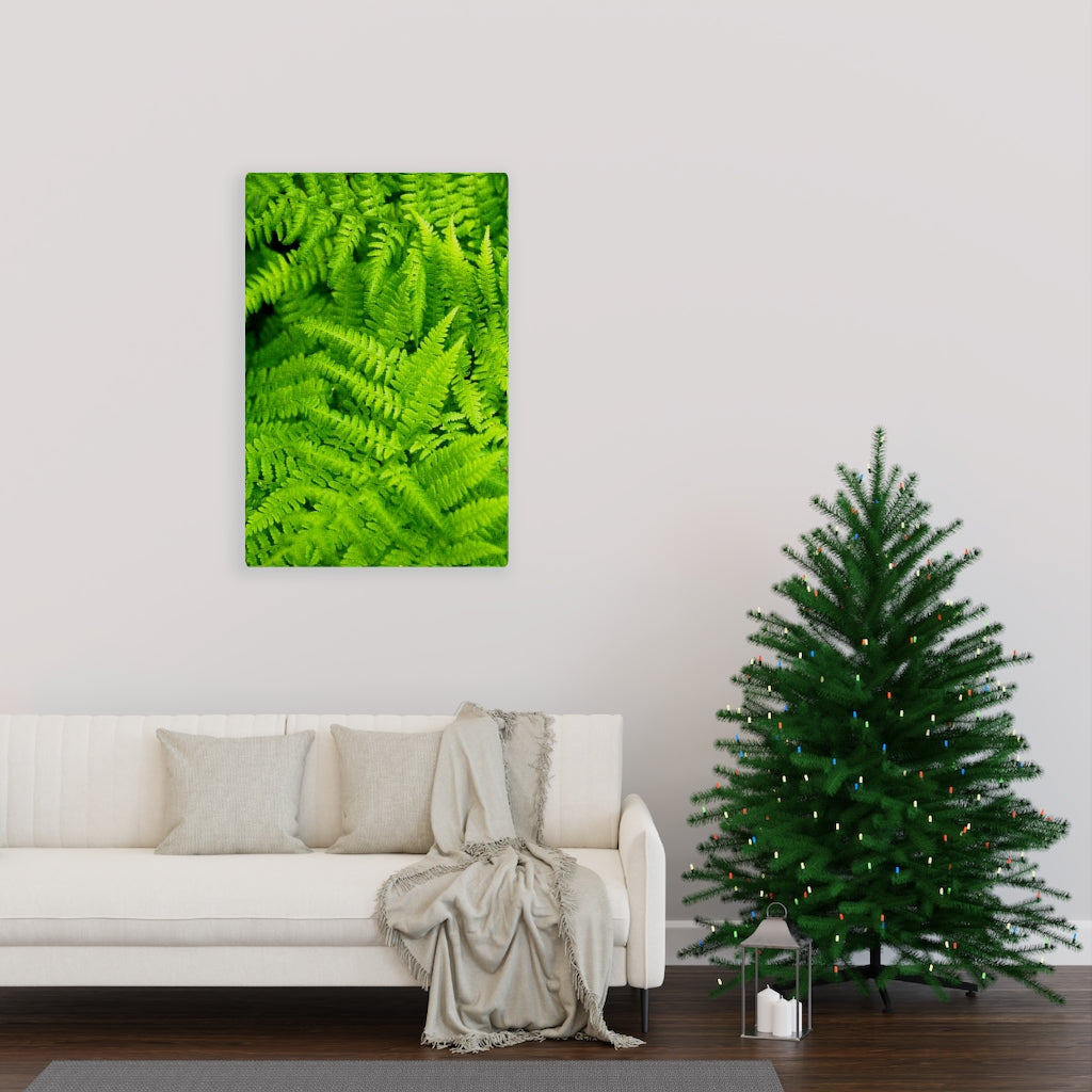 Ferns, Ferns, Ferns - Canvas