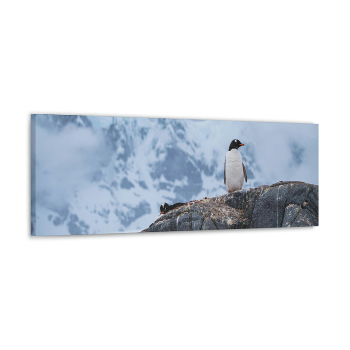 Poised Penguin - Canvas