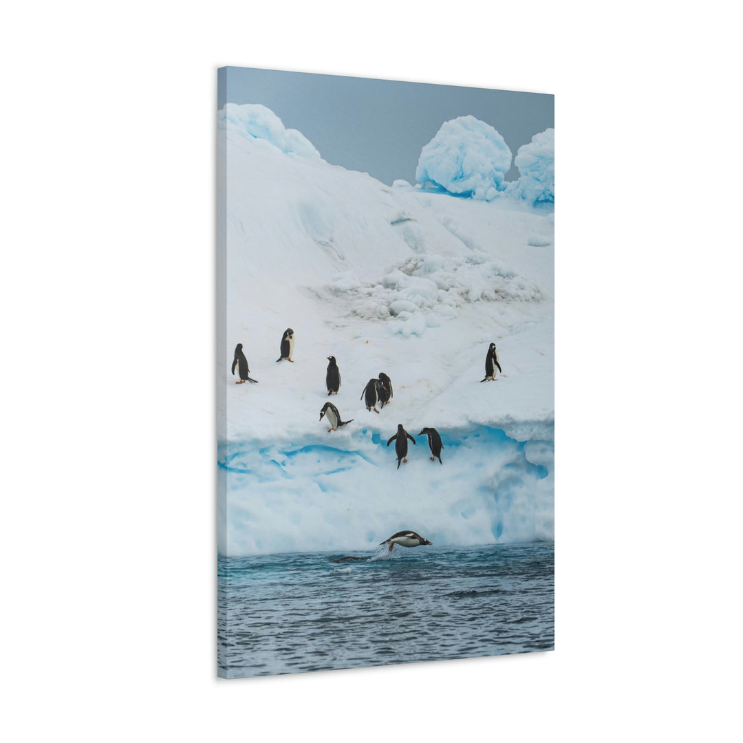 Porpoising Penguin - Canvas