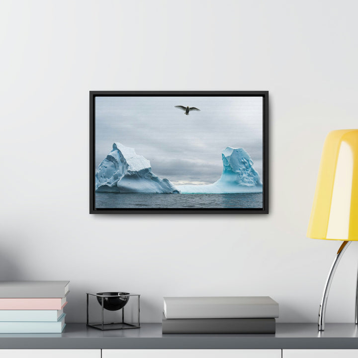 Antarctic Flight - Canvas with Frame