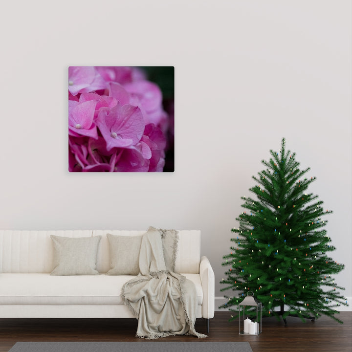 Pink Hydrangea Detail - Canvas