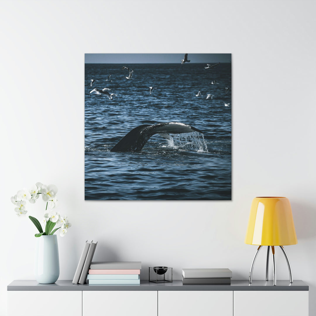 Feeding Tail - Canvas