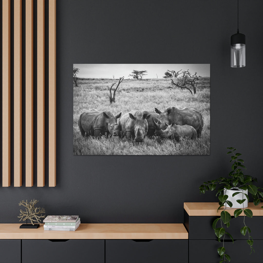 Rhino Family in Black and White - Canvas