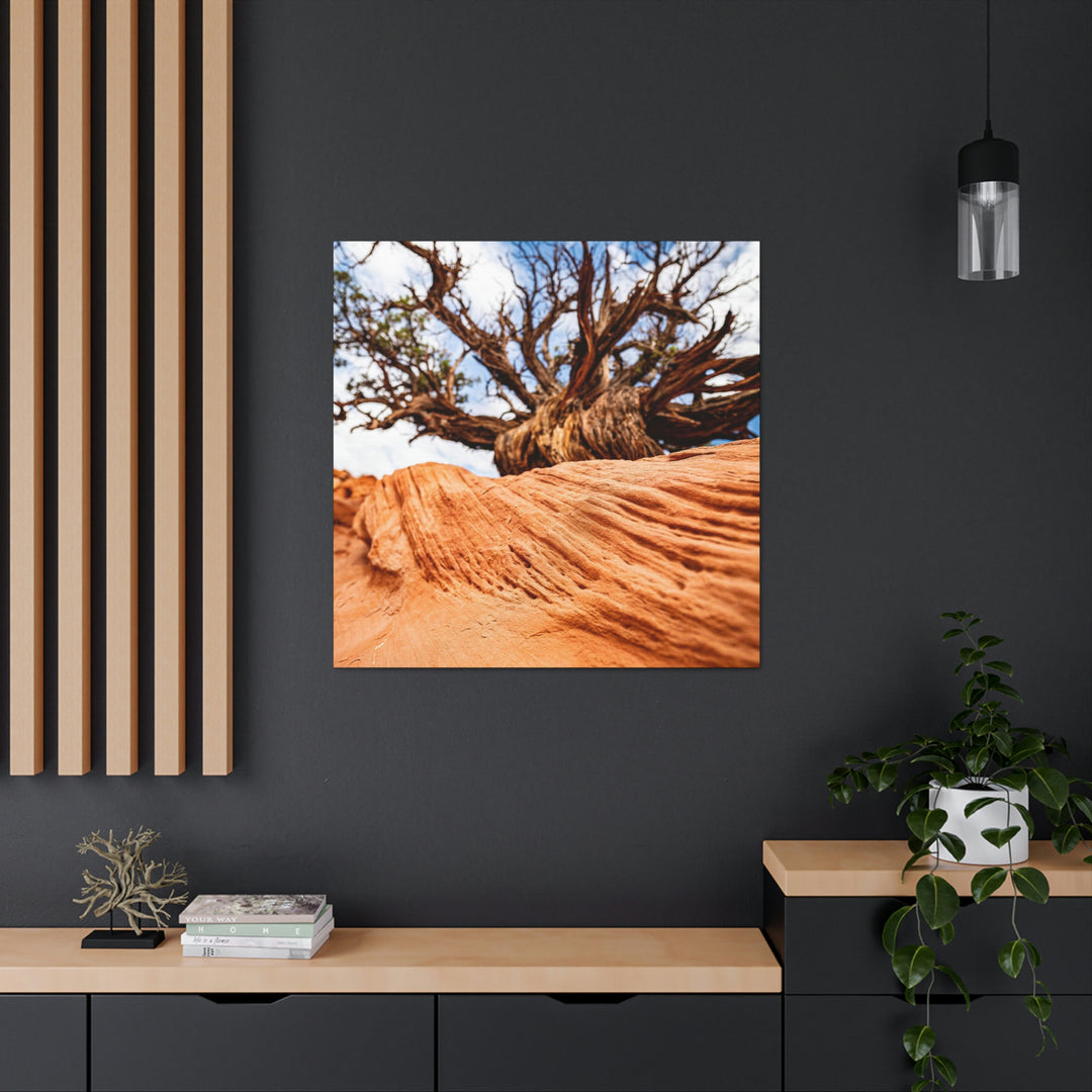 Desert Reach - Canvas